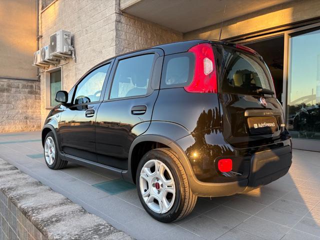 FIAT PANDA 1.0 FIREFLY S&S HYBRID CERCHI IN - foto 7