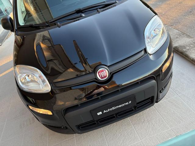 FIAT PANDA 1.0 FIREFLY S&S HYBRID CERCHI IN - foto 19