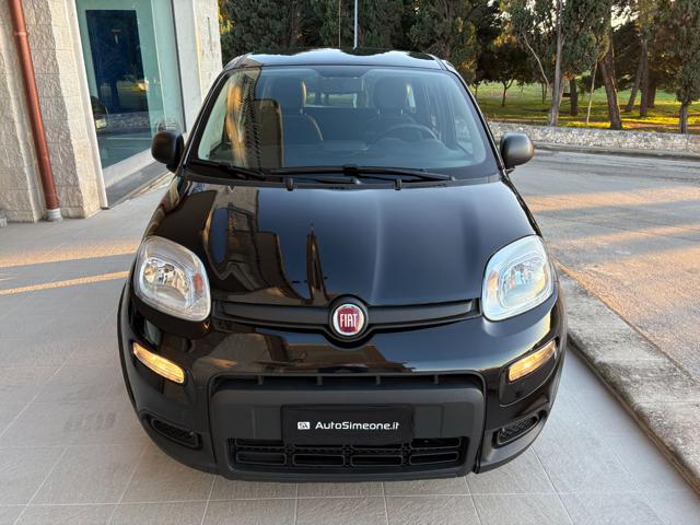 FIAT PANDA 1.0 FIREFLY S&S HYBRID CERCHI IN - foto 2