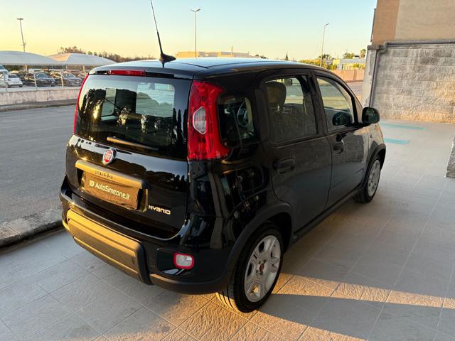 FIAT PANDA 1.0 FIREFLY S&S HYBRID CERCHI IN - foto 5