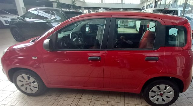 FIAT PANDA 1.2 POP - foto 4