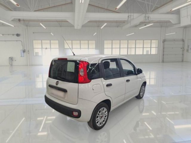 FIAT PANDA 1.2 EASY - foto 2