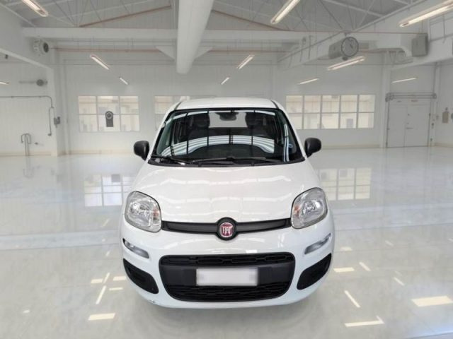 FIAT PANDA 1.2 EASY - foto 6