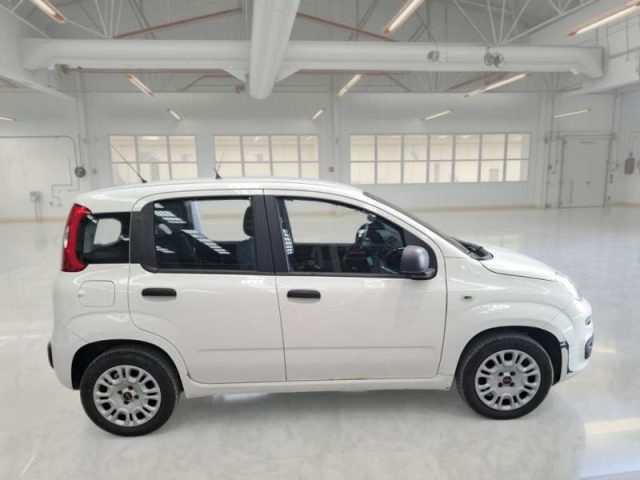 FIAT PANDA 1.2 EASY - foto 7
