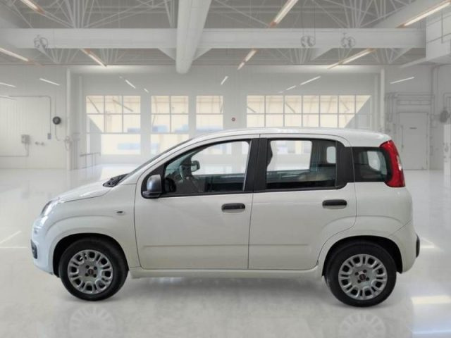 FIAT PANDA 1.2 EASY - foto 8