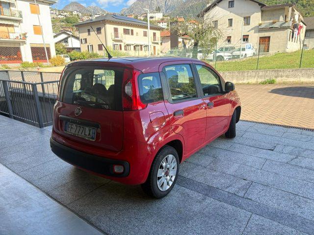 FIAT PANDA 1.2 EASY - foto 9