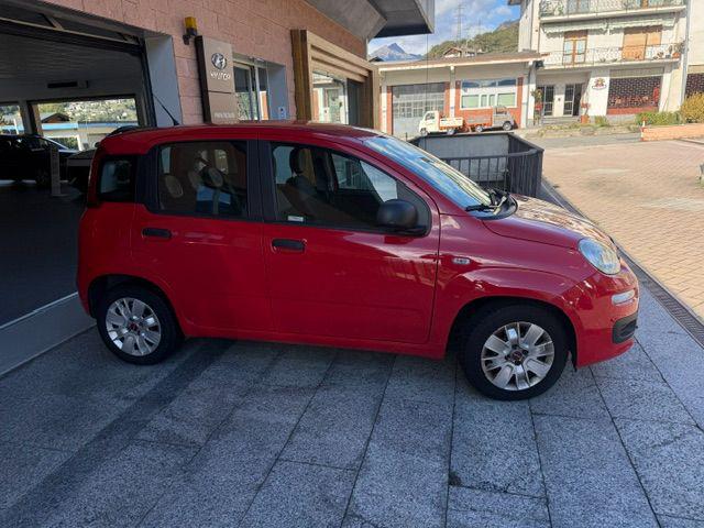 FIAT PANDA 1.2 EASY - foto 7