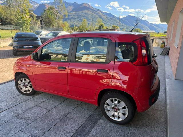 FIAT PANDA 1.2 EASY - foto 5