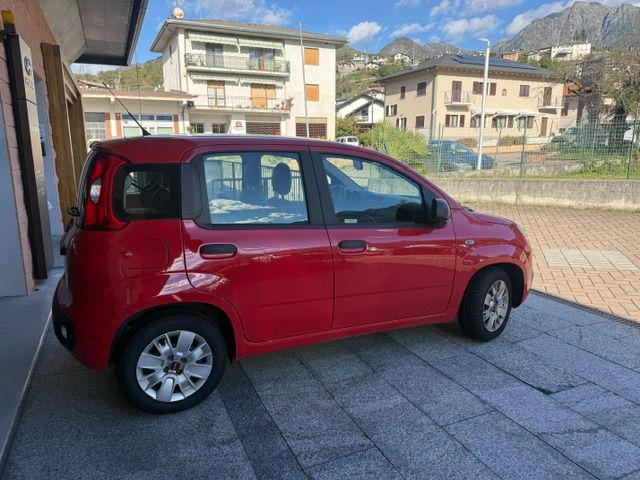 FIAT PANDA 1.2 EASY - foto 8