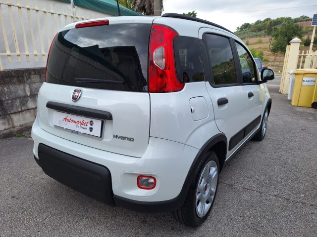 FIAT PANDA 1.0 FIREFLY S&S HYBRID - foto 4