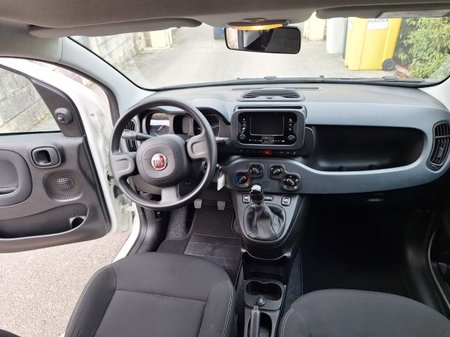 FIAT PANDA 1.0 FIREFLY S&S HYBRID - foto 16