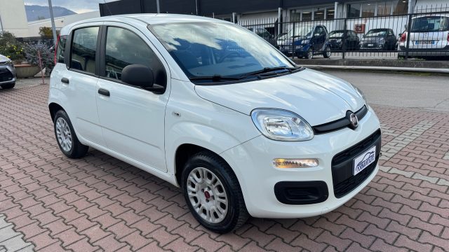 FIAT NEW PANDA 1.2  S.&S. E6D-TEMP EASY 5 POSTI - foto 3