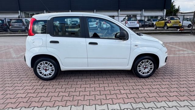 FIAT NEW PANDA 1.2  S.&S. E6D-TEMP EASY 5 POSTI
