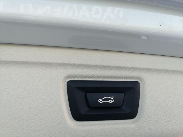 BMW 318 D 48V TOURING BUSINESS ADVANTAGE - foto 18
