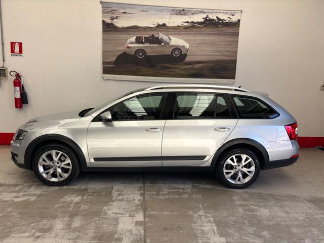 SKODA OCTAVIA 2.0 TDI 184 CV 4X4 DSG SCOUT BEL