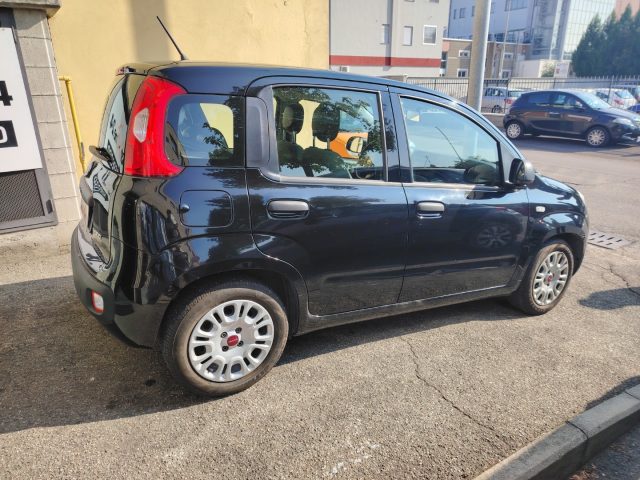 FIAT PANDA 1.0 FIREFLY S&S HYBRID EASY NEOP - foto 5