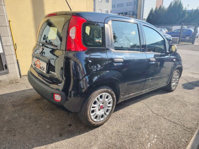 FIAT PANDA 1.0 FIREFLY S&S HYBRID EASY NEOP - foto 6