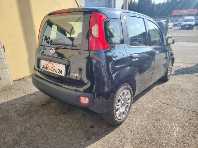 FIAT PANDA 1.0 FIREFLY S&S HYBRID EASY NEOP - foto 7