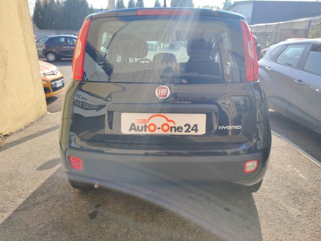 FIAT PANDA 1.0 FIREFLY S&S HYBRID EASY NEOP - foto 8