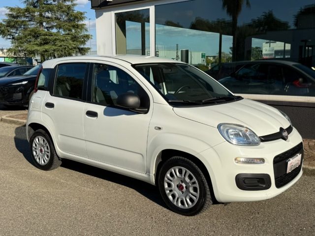 FIAT PANDA 1.2 EASY NEOPATENTATI - CLIMA -  - foto 3