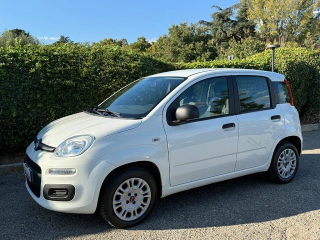 FIAT PANDA 1.2 EASY NEOPATENTATI - CLIMA -  - foto 8