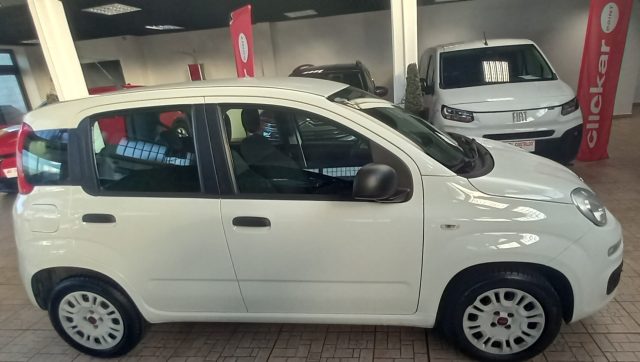 FIAT PANDA 1.2 EASY - foto 2