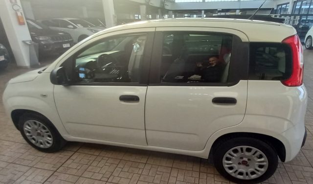 FIAT PANDA 1.2 EASY - foto 4