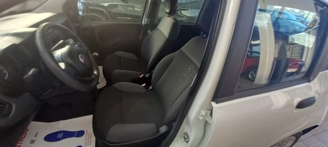 FIAT PANDA 1.2 EASY - foto 5