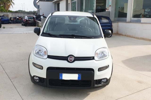FIAT PANDA 1.0 FIREFLY S&S HYBRID - foto 2
