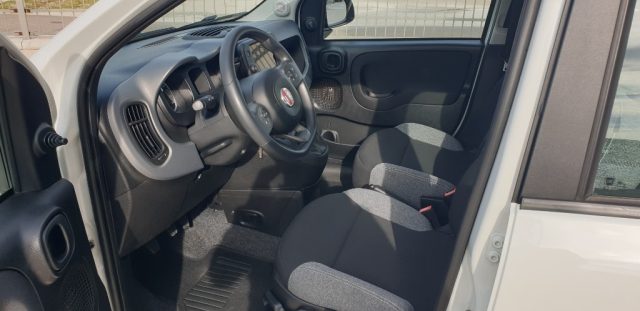 FIAT PANDA 1.0 FIREFLY S&S HYBRID - foto 5