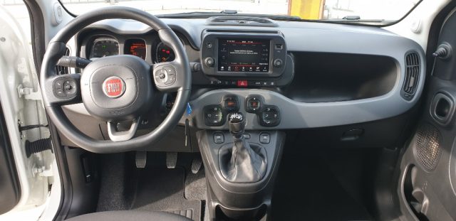FIAT PANDA 1.0 FIREFLY S&S HYBRID - foto 6