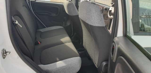 FIAT PANDA 1.0 FIREFLY S&S HYBRID - foto 8