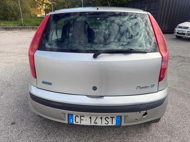 FIAT PUNTO 1.2I 16V CAT 5P VERVE SENZA NESS - foto 23