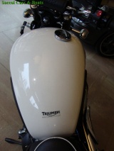 Triumph Scrambler Usata