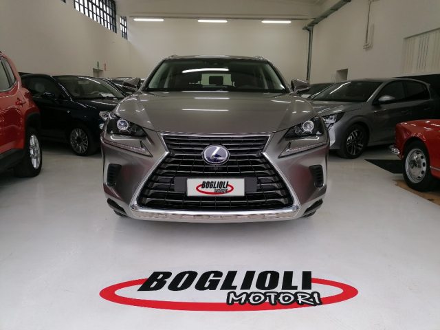 lexus nx 300h nx 300h hybrid 4wd business anno 2019