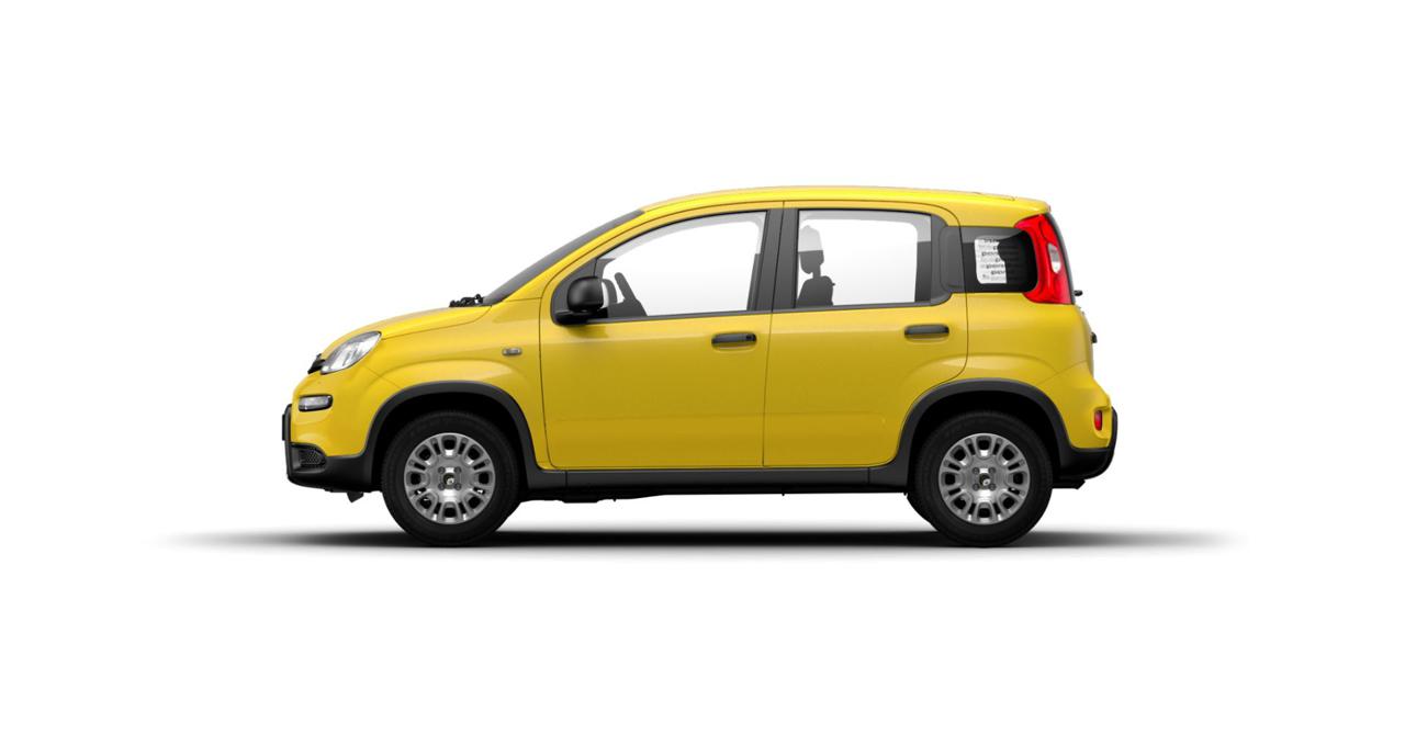 FIAT Panda 1.0 FireFly S&S Hybrid POP+ICON+PANDINA - 3