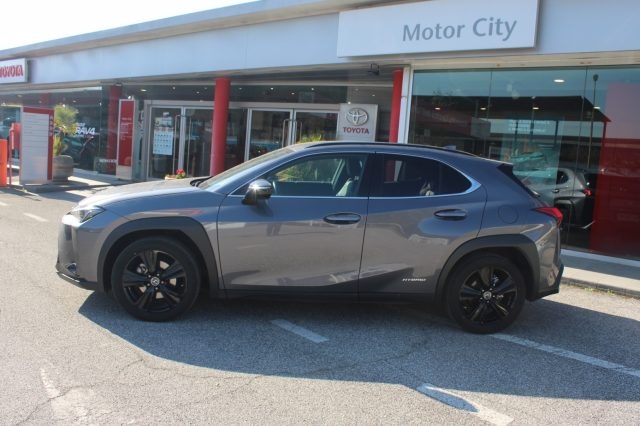 Lexus UX 250H  benzina/elettrica - dettaglio 3