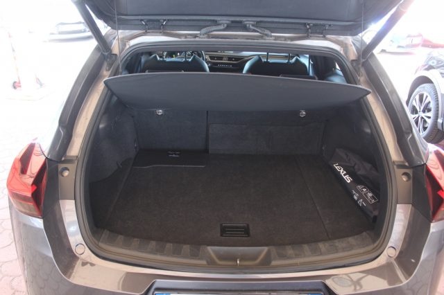 Lexus UX 250H  benzina/elettrica - dettaglio 9