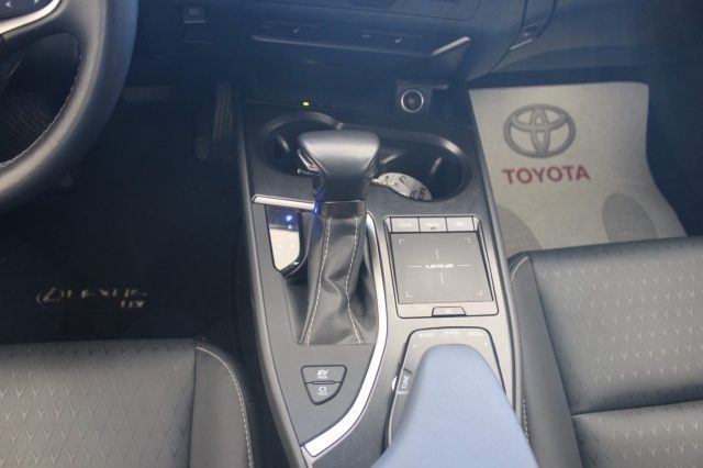 Lexus UX 250H  benzina/elettrica - dettaglio 13
