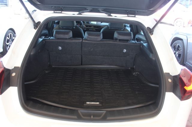 Lexus UX 250H  benzina/elettrica - dettaglio 6