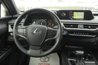 Lexus UX 250H  - Foto 13