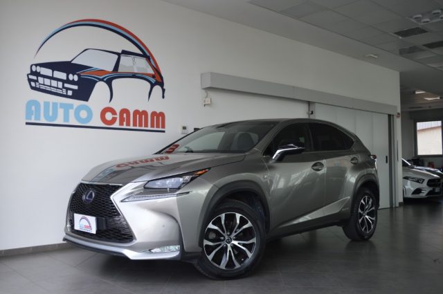 LEXUS NX 300 Antracite metallizzato