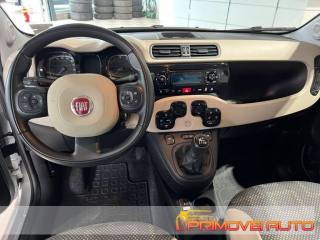 Fiat Panda  - Foto 1