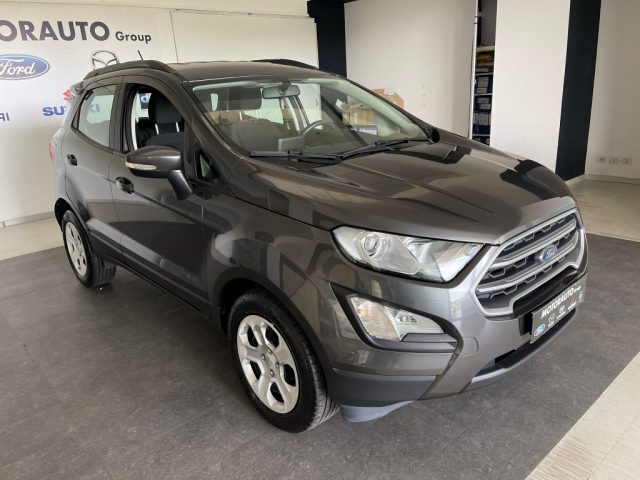 Auto usata FORD EcoSport 1.0 EcoBoost 100 CV Plus del 2018 - Automotor,  Arezzo