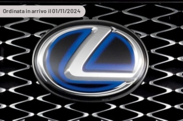 LEXUS LM Hybrid 4WD 7 posti Luxury 
