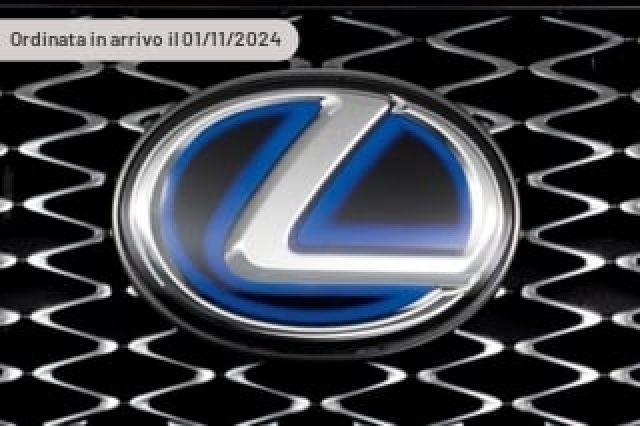 LEXUS LM Hybrid 4WD 4 posti Luxury 