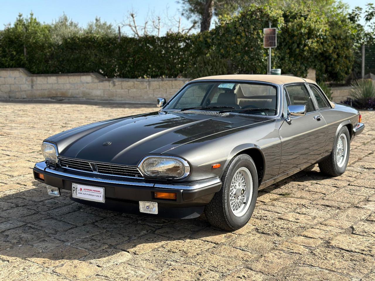 JAGUAR XJS C 3.6 Cabrio - Targa - anteriore-sx