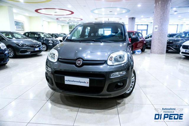 FIAT Panda 1.0 FireFly S&S Hybrid Usato