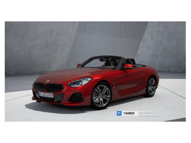 BMW Z4 Vari colori metallizzato