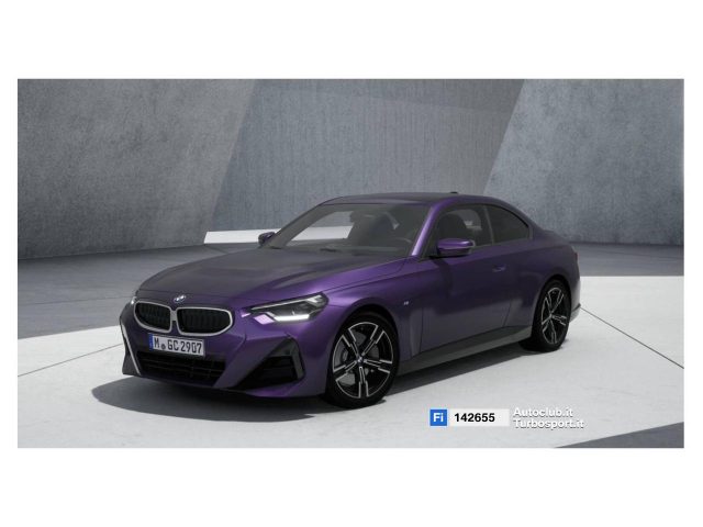 BMW 230 Vari colori metallizzato